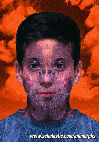 File:Marco.jpg