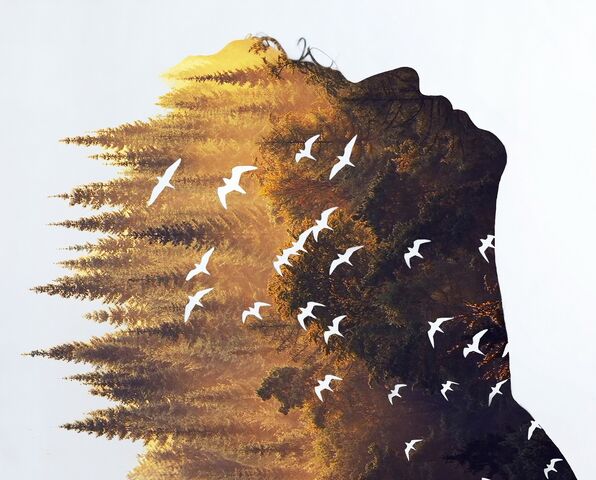 File:Meta Transcendence.jpg