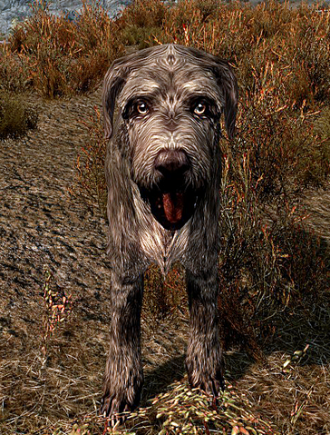 File:Barbas skyrim.png