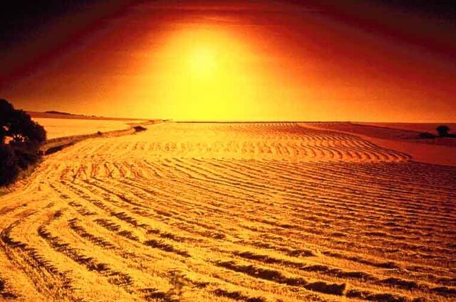File:Desert1 OPT.jpg