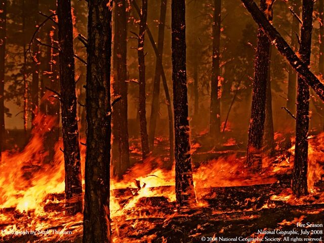 File:Forest-fire.jpg