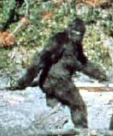File:Bigfoot.jpg