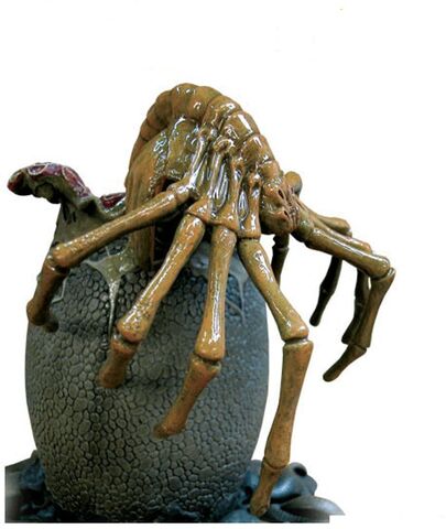 File:Facehugger.jpg