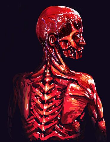File:Skinless.jpg