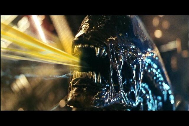 File:AcidSpitXenonorph.jpg
