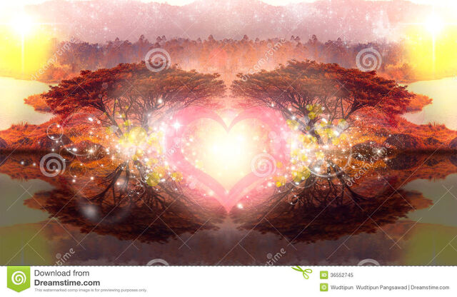 File:Dream-imagine-heart-love-tree-romantic-fantasy-bubble-bokeh-region-dimension-lost-space-reflect-36552745.jpg