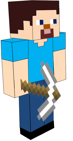 Steve2