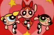 PPG 7