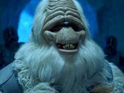 Norg