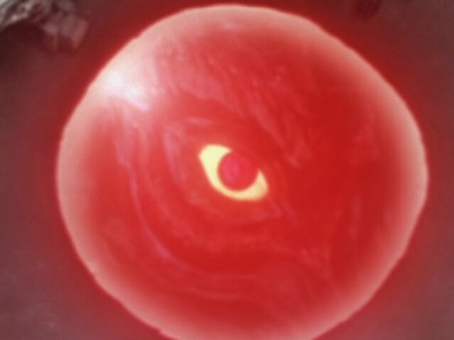 File:Eye of the Master.jpeg