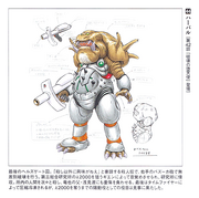 Harbalconcept