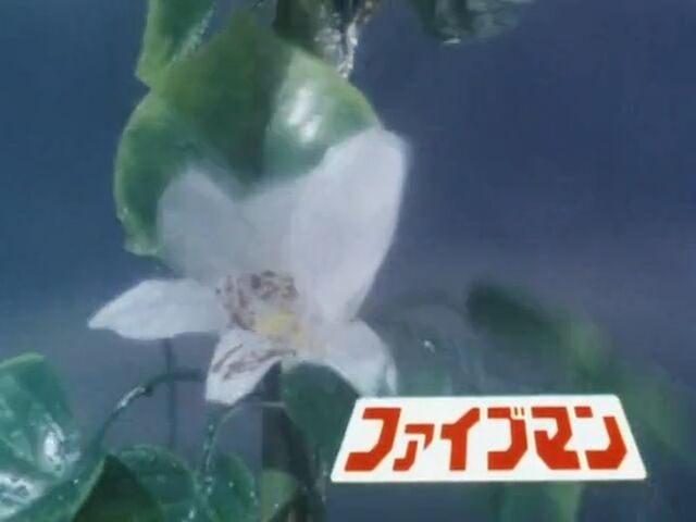 File:Fiveman 1 pre-break.jpg