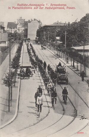 Ulica Zwierzyniecka - 190x.jpg