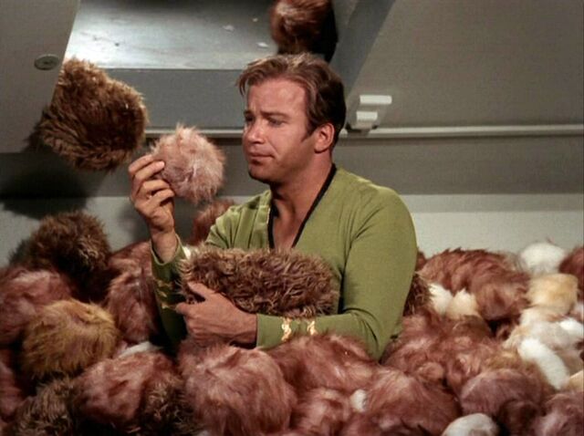 File:Tribble.jpg