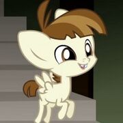 Featherweight-foto.jpg