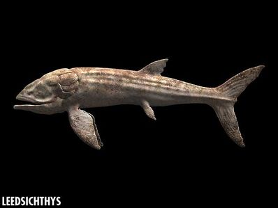 Leedsichthys closeup
