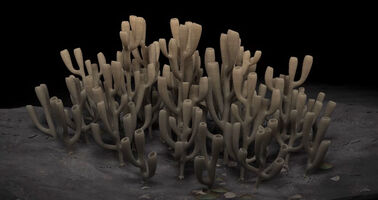 Vauxia 3D BSFG