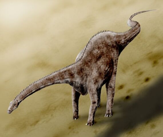 File:Diplodocus1.jpg