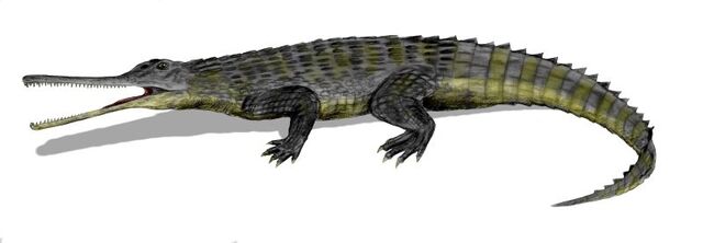 File:Rutiodon.jpg