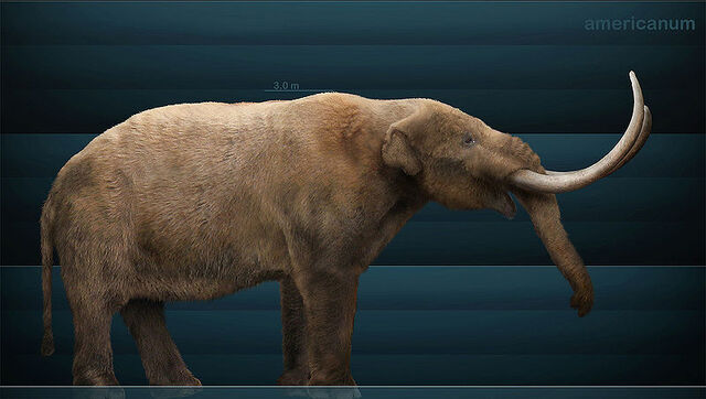 File:Life restoration of a Mastodon.jpg