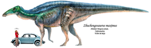Zhuchengosaurus maximus-1-