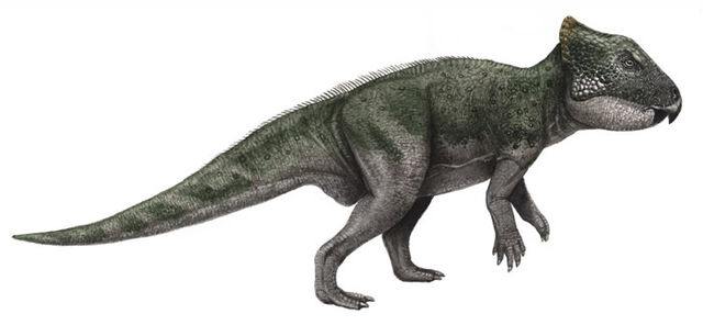 File:Archaeoceratops-1-.jpg
