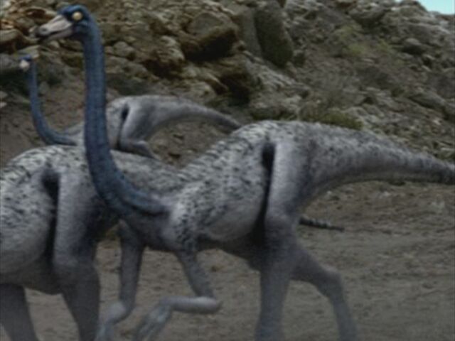 File:1x1 Ornithomimus.jpg