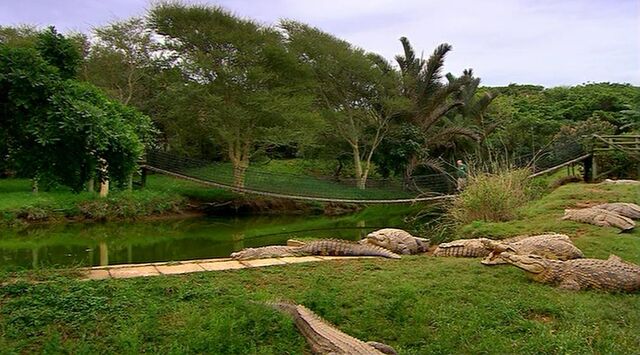 File:Croc lake.jpg