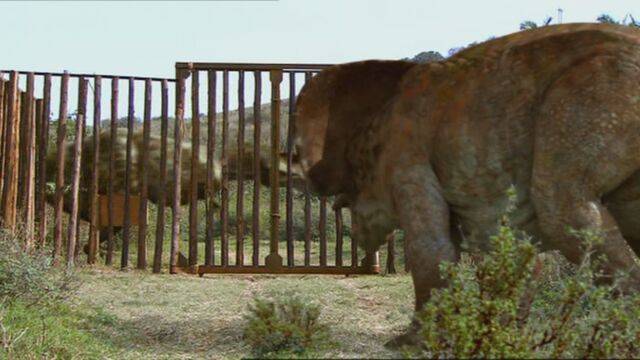 File:1x6 TheoWatchingMatildaChasingNigel.jpg