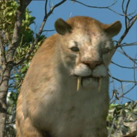 File:SmilodonPortraithn.jpg