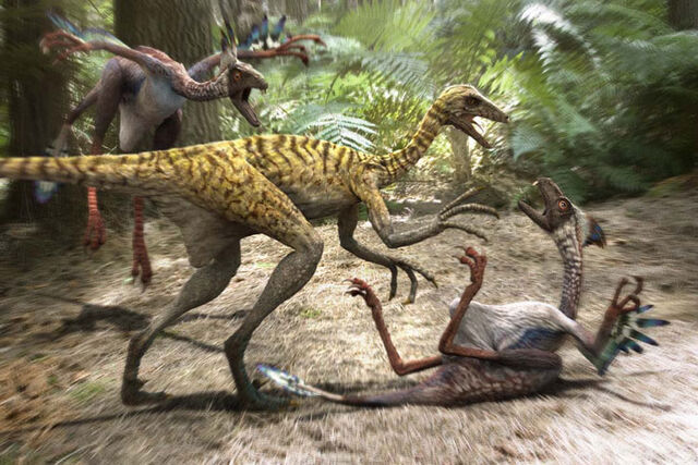 File:Mei Long attacks Incisivosaurus.jpg