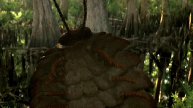 File:PP Arthropleura.jpg