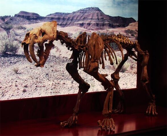 File:Smilodon Popuorlat.jpg
