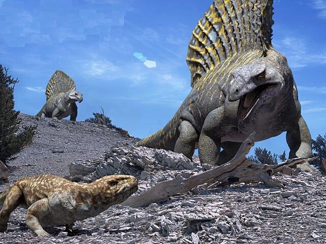 File:Edaphosaurus1.jpg