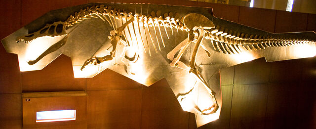 File:Baryonyx NHM.jpg