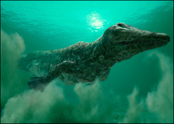 File:Ambulocetus hzoom.jpg