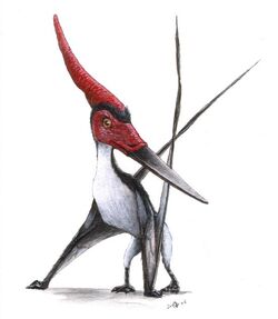 Pteranodon.jpg