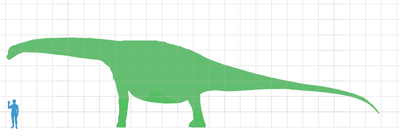 Turiasaurus scale.png