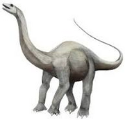 Apatosaurio