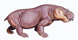 Australobarbarus.jpg