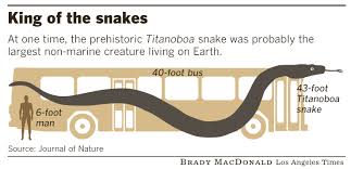 Titanoboa3