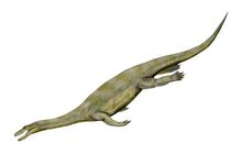 Image014.jpg