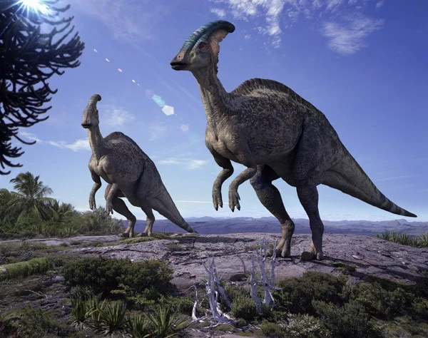 Картинки по запросу Паразауролоф