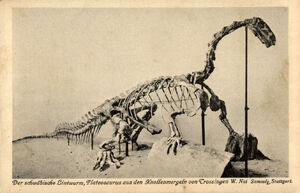 Plateosaurus