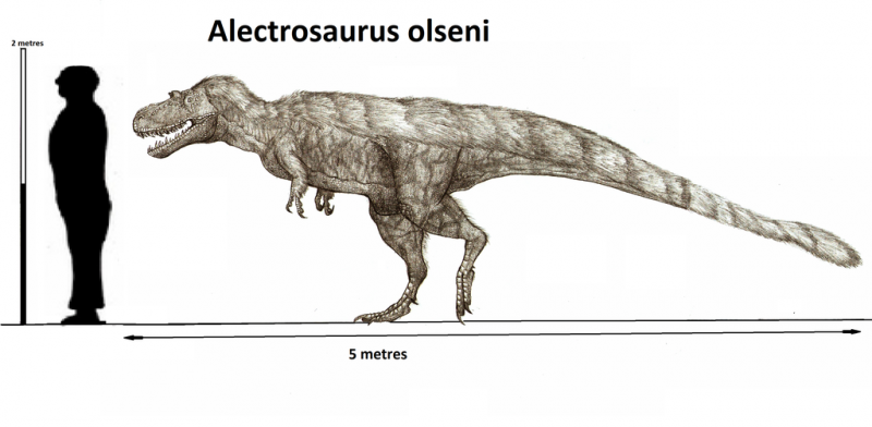 Картинки по запросу Алектрозавр