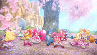 PCDS Cures blossom viewing
