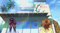 Natsu hous