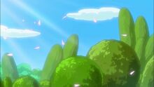 Swkforest