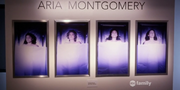 PLL608