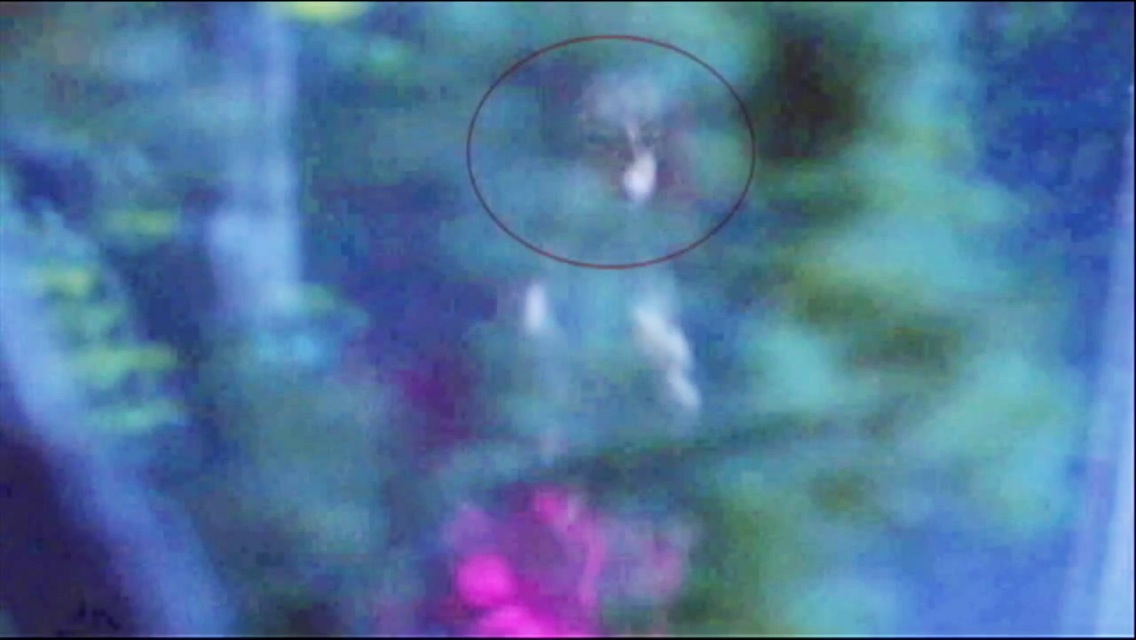 Image - Red Coat Was Wearing a Mask and Hanna Hallucinated.JPG ...